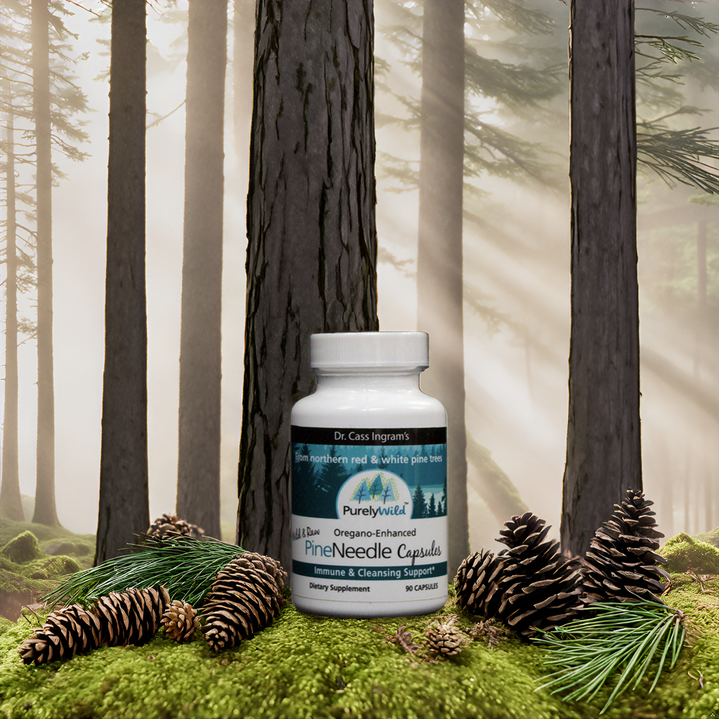 A close-up of a bottle of Purely Wild Pine Needle Capsules nestled among pine cones and moss in a dense forest, showcasing its natural sourcing and Dr. Cass Ingram’s dedication to wellness.