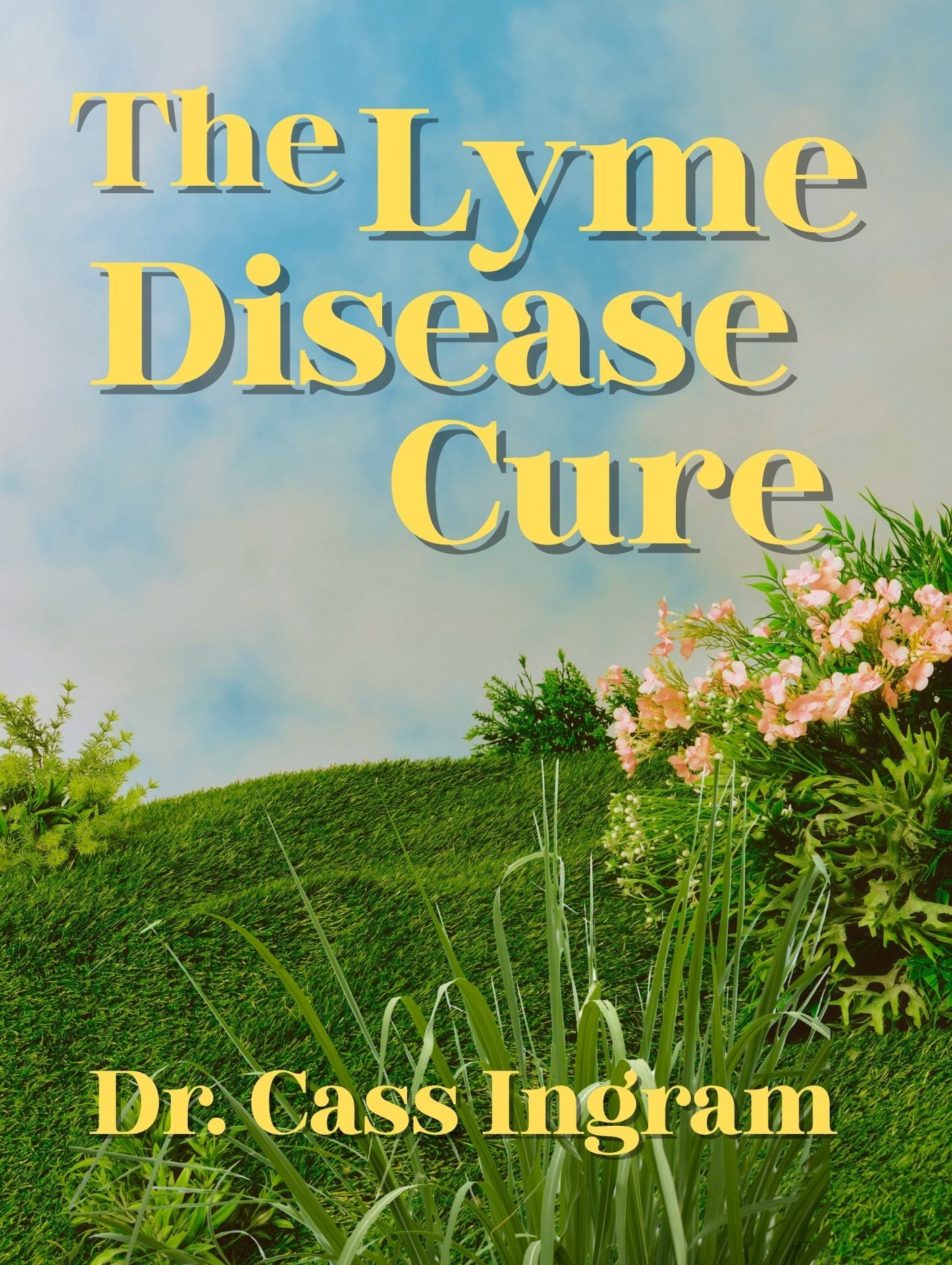 The Lyme Disease Cure
