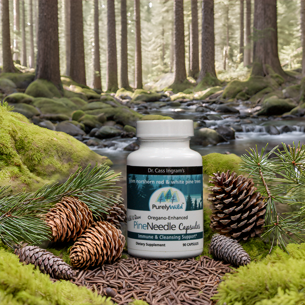 Purely Wild Pine Needle Capsules placed beside a flowing forest stream, highlighting the product's wild-harvested ingredients and sustainability, as advocated by Dr. Cass Ingram.