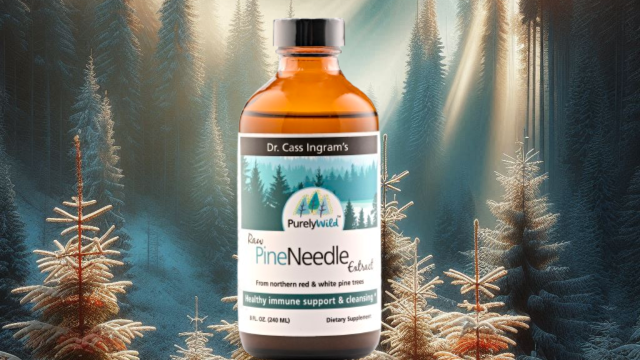 A bottle of Purely Wild Pine Needle Extract displayed in a serene, sunlit forest with glowing trees, highlighting its immune-supporting and cleansing benefits, crafted under Dr. Cass Ingram’s expertise.