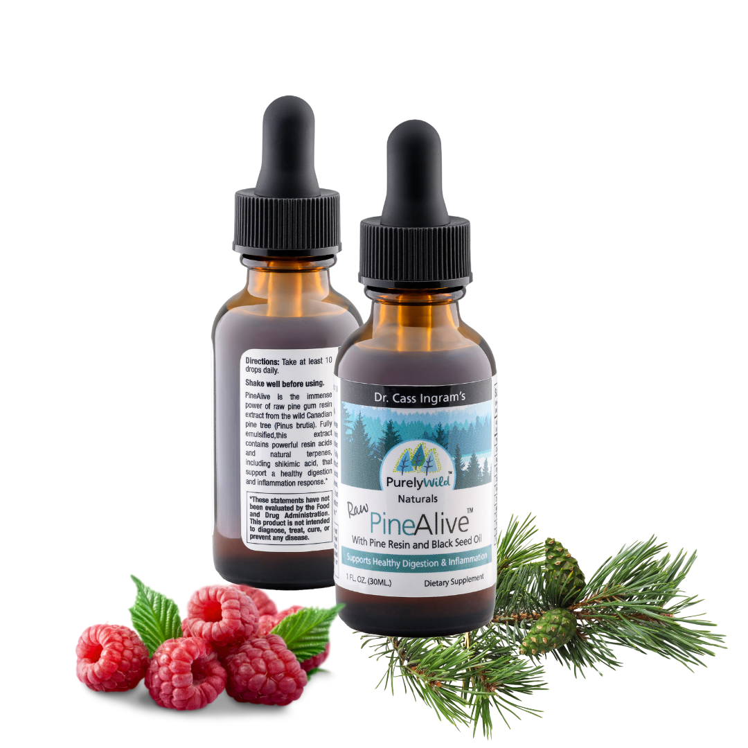 Two bottles of Purely Wild PineAlive Extract, a vibrant blend of wild-harvested pine needles, raspberries, and other natural ingredients, crafted using Dr. Cass Ingram’s expertise to support health and wellness.