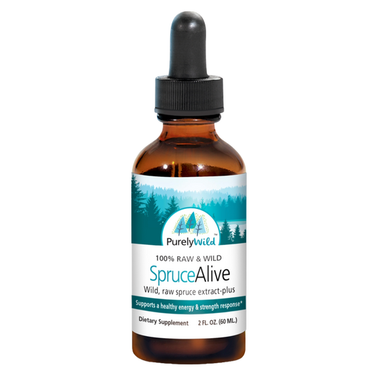 A bottle of Purely Wild SpruceAlive, made with 100% wild spruce resin extract, formulated under Dr. Cass Ingram’s guidance to support respiratory health, immune function, and detoxification.