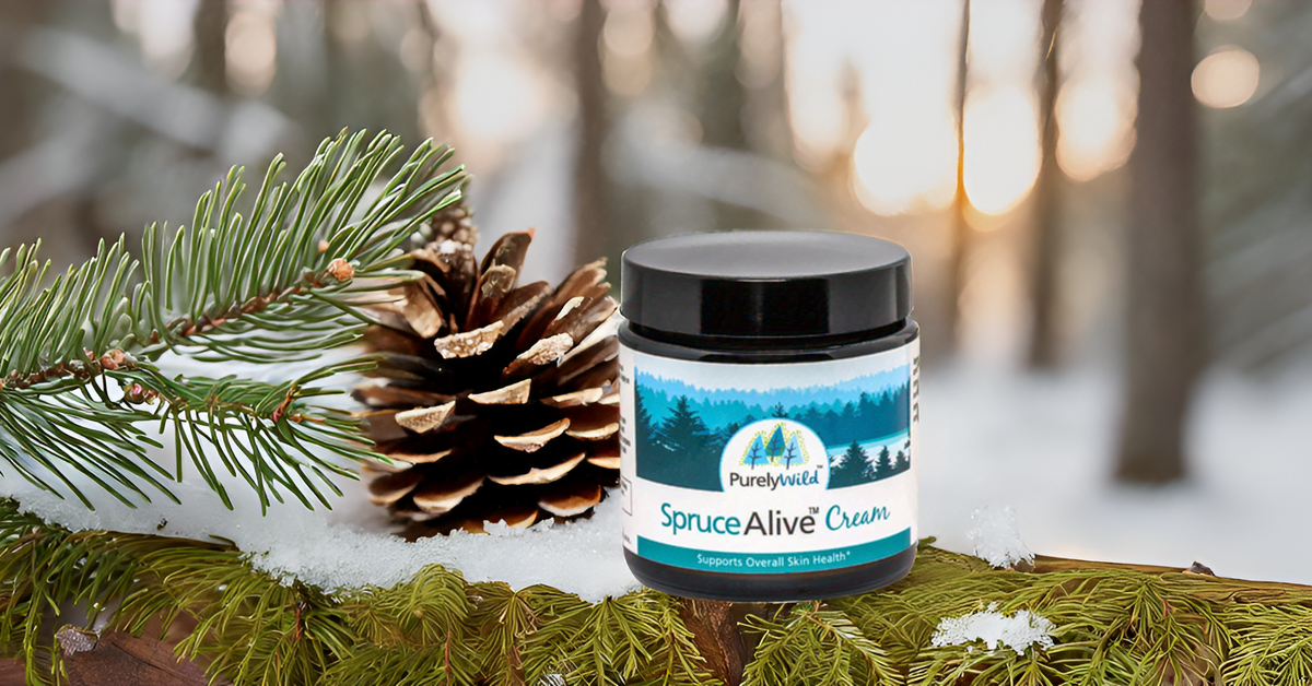 Purely Wild SpruceAlive Cream set on a mossy forest floor, symbolizing its origins in wild-harvested resins and therapeutic oils as developed by Dr. Cass Ingram.