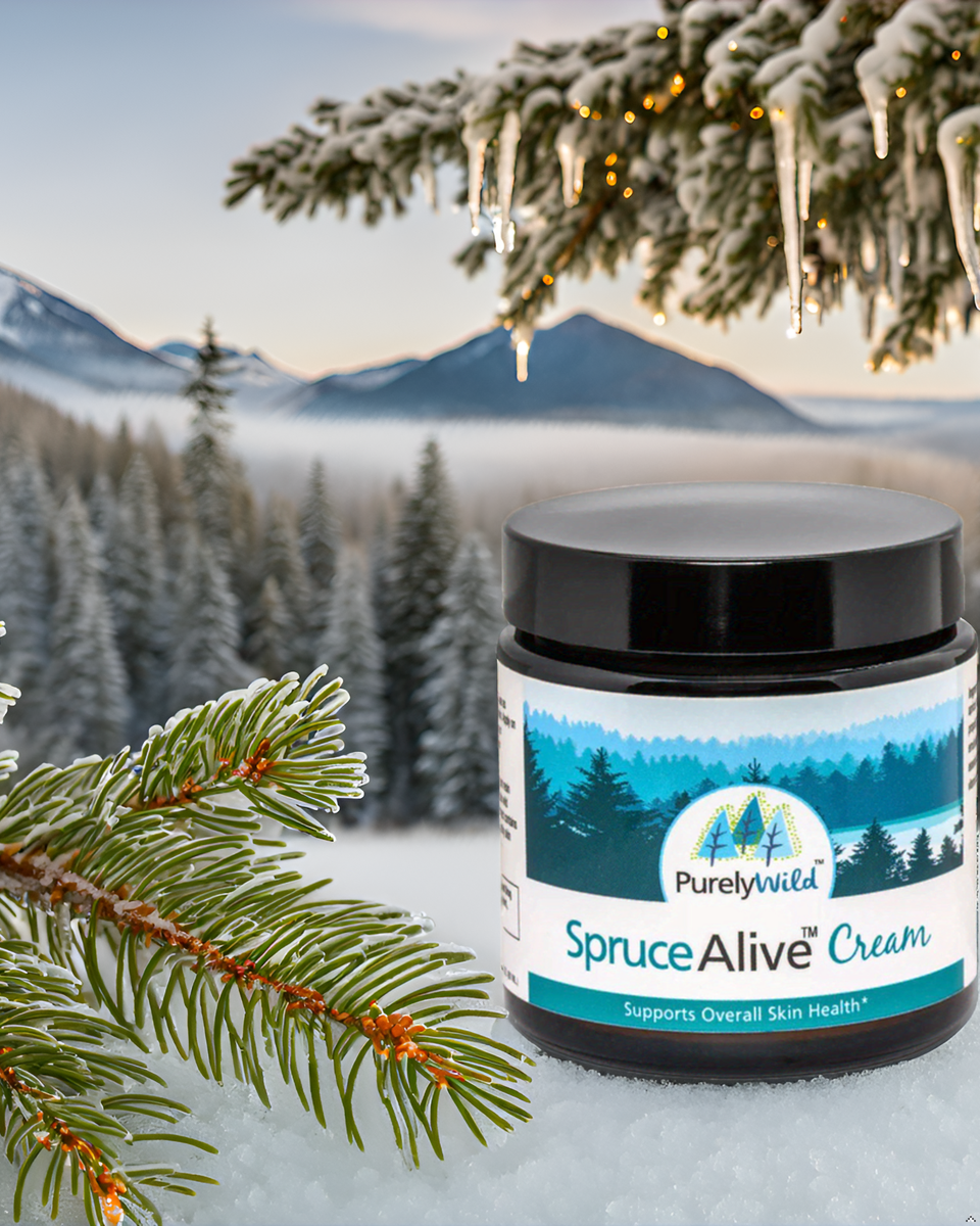 A jar of Purely Wild SpruceAlive Cream surrounded by evergreen branches and snow, highlighting its wild spruce resin and pine-based formulation as guided by Dr. Cass Ingram.