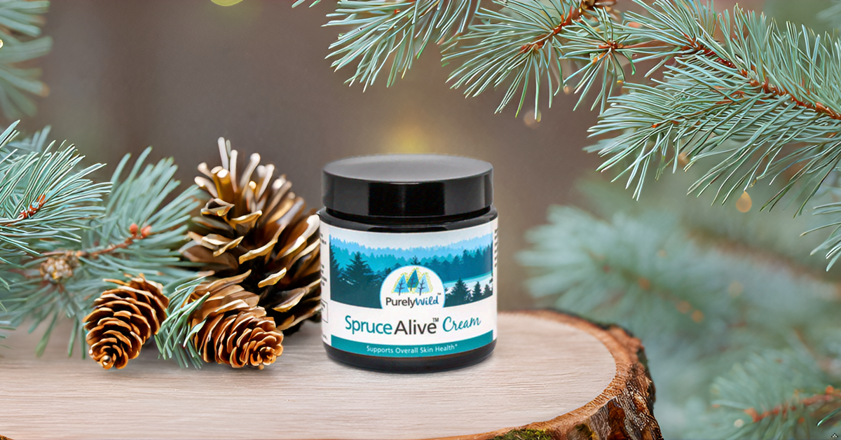 A jar of SpruceAlive Cream displayed with fresh spruce resin and pinecones, emphasizing its wild-harvested, skin-supporting ingredients inspired by Dr. Cass Ingram.