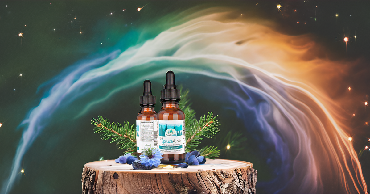 Purely Wild SpruceAlive showcased against a stunning northern lights backdrop, representing its origin in wild, untouched regions and its powerful health benefits inspired by Dr. Cass Ingram.