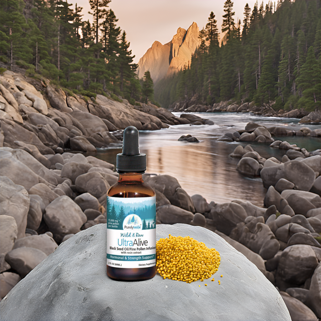 Purely Wild UltraAlive placed near a rocky riverbank surrounded by natural elements, representing its powerful, nature-based formulation as guided by Dr. Cass Ingram.