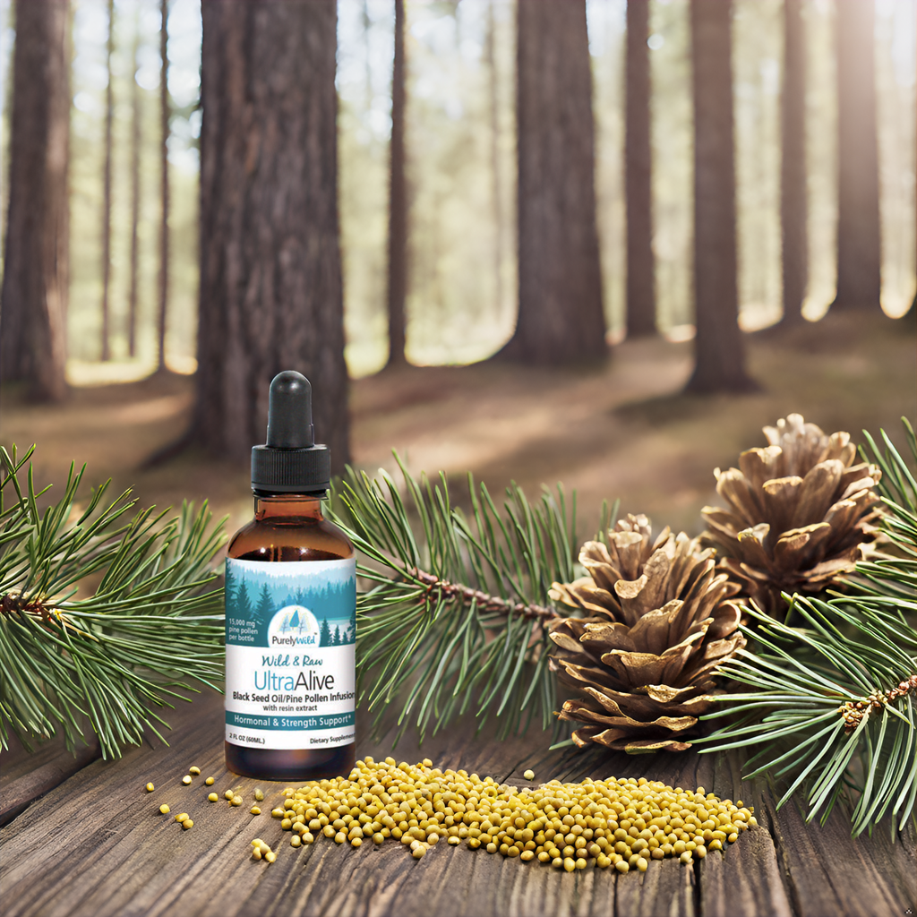 Purely Wild UltraAlive displayed on a forest floor surrounded by pine cones and needles, emphasizing its wild-harvested ingredients and natural origin as inspired by Dr. Cass Ingram.