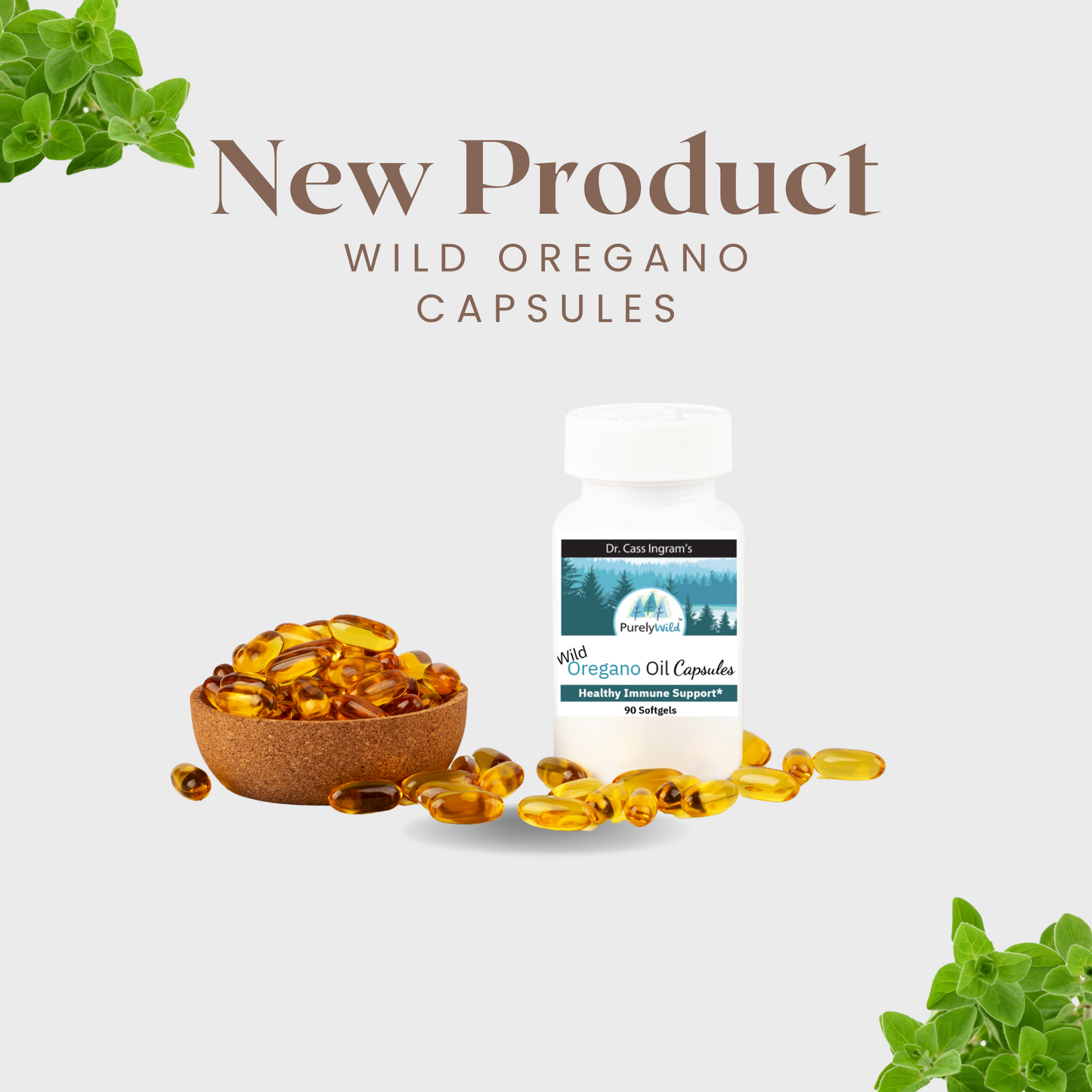 Dr. Cass Ingram's Wild Oregano Oil Softgels | Oil of Oregano | Immune System Support | Mediterranean Sourced | 90 Soft gels (Bovine Based) Place 2 Bottles In Your Cart to Get One Free!