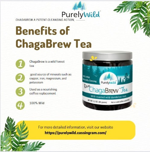 Dr. Cass Ingram's Wild Chaga Brew Tea with Dandelion Root and Rose Hip - Caffeine-free Energy Support and Antioxidant