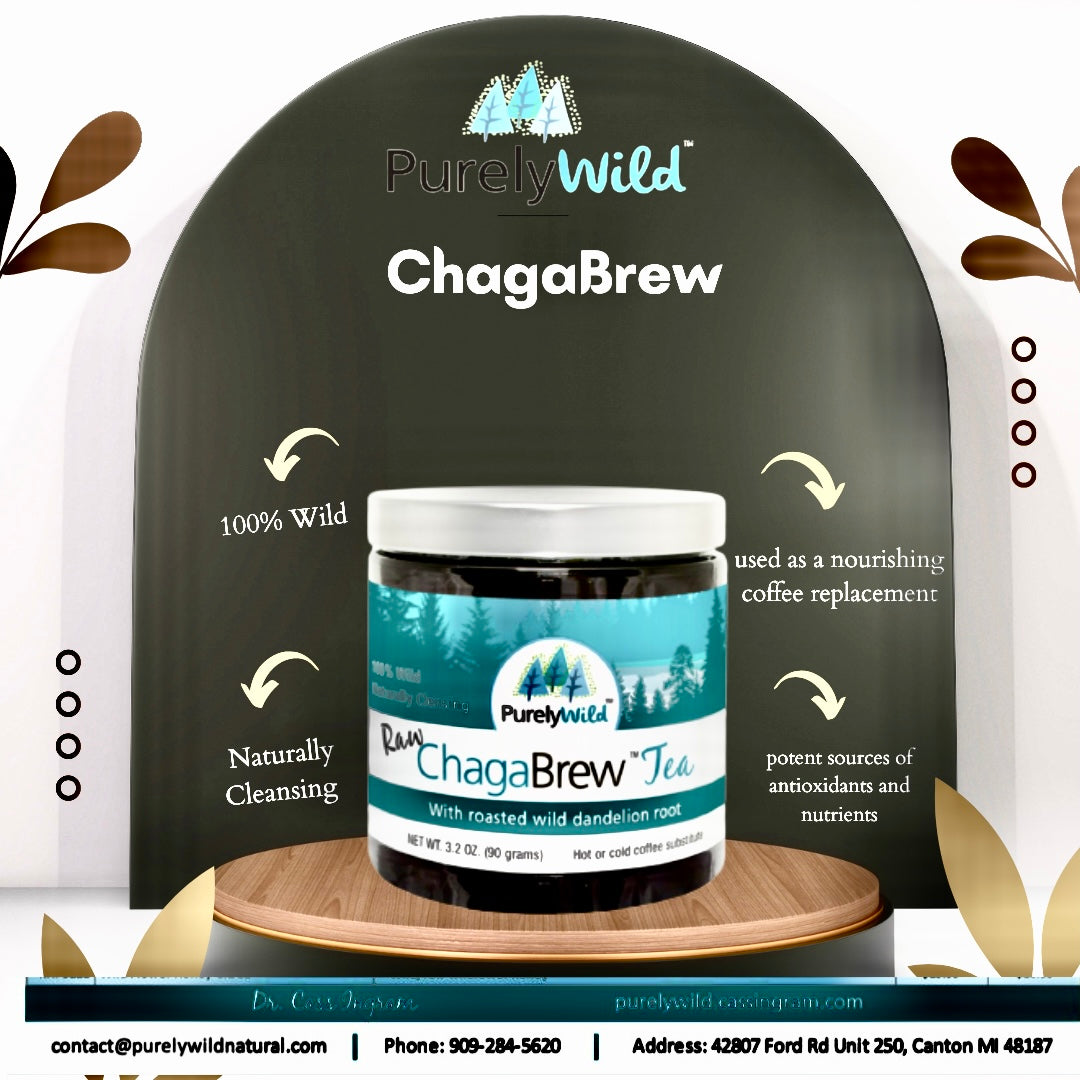 Dr. Cass Ingram's Wild Chaga Brew Tea with Dandelion Root and Rose Hip - Caffeine-free Energy Support and Antioxidant