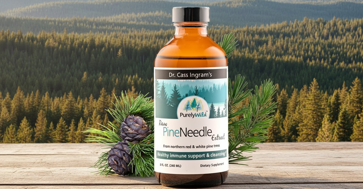 Bottle of Dr. Cass Ingram's Purely Wild Pine Needle Extract with a forest background