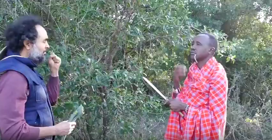 Cass Ingram Discovers Maasai Dental Tree