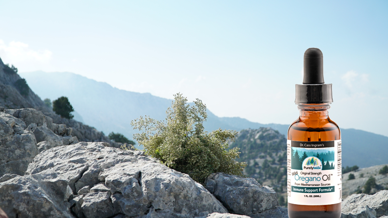 A wild oregano plant in it's natural habitat with Dr. Cass Ingram's wild oregano oil immune boosting formula