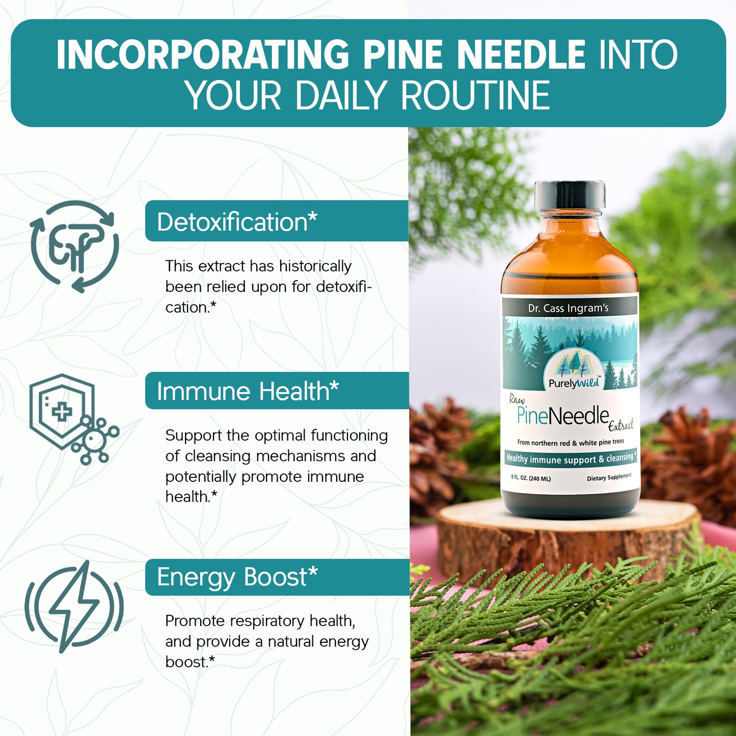 A graphic showing ways to incorporate Dr. Cass Ingram’s Purely Wild Pine Needle Extract into daily routines, highlighting its benefits for respiratory health, immune support, and detoxification.