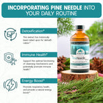 A graphic showing ways to incorporate Dr. Cass Ingram’s Purely Wild Pine Needle Extract into daily routines, highlighting its benefits for respiratory health, immune support, and detoxification.