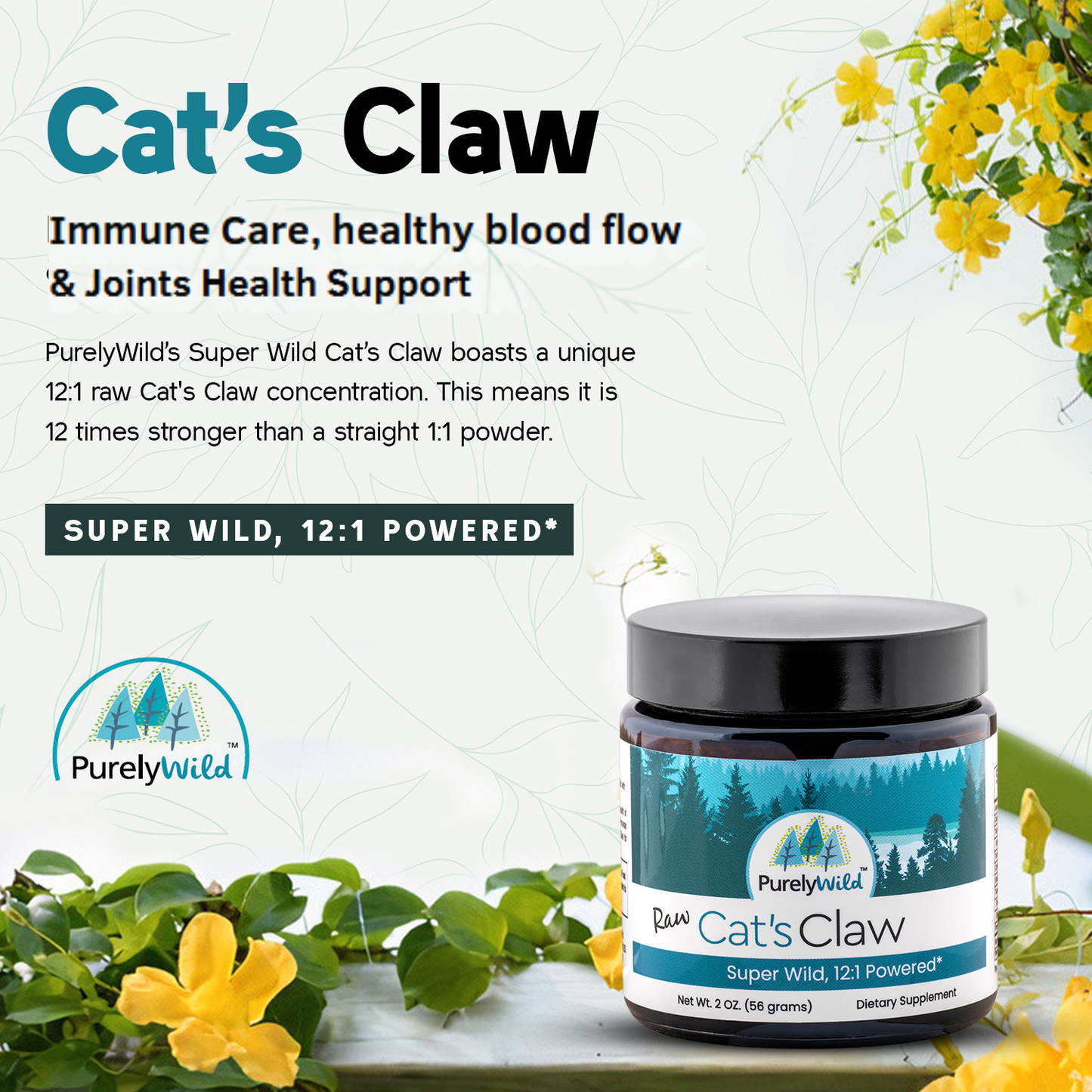 Dr. Cass Ingram's Purely Wild cat's claw tea with super high concentration Immune Care, Healthy Blood Flow and Joint Support Infographic