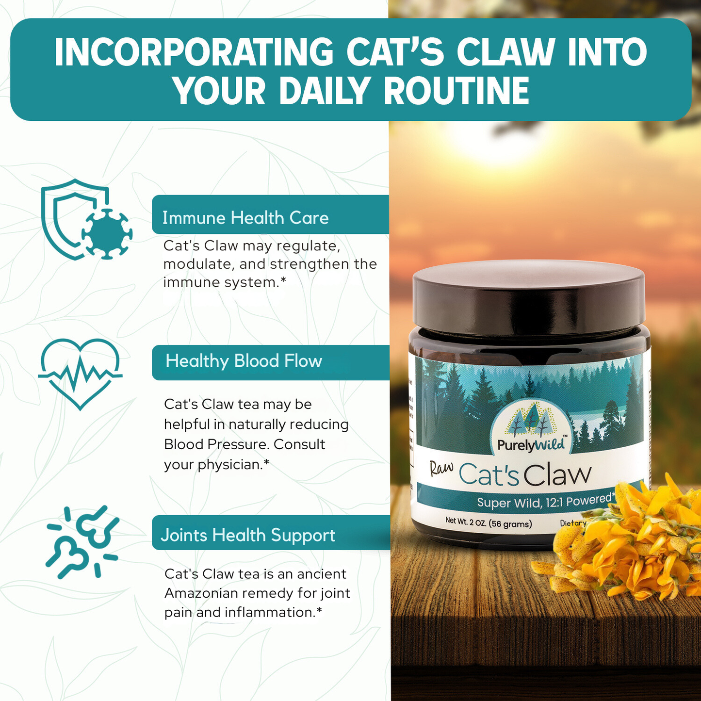 Dr. Cass Ingram's Purely Wild Incorporating Cat's Claw into Daily Routine Immune Care, Healthy Blood and Join Support