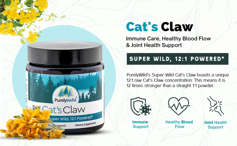 Dr. Cass Ingram's Purely Wild cat's claw tea with super high concentration  12:1 Powered infographic