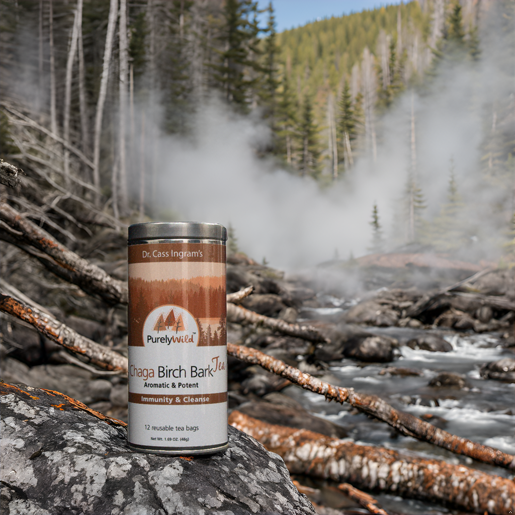 A canister of Purely Wild Chaga Birch Bark Tea displayed in a serene forest, surrounded by birch trees and raw chaga, representing its natural and wild origin as inspired by Dr. Cass Ingram.