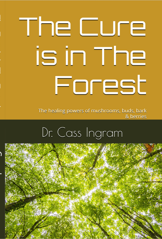 The Cure is in the Forest
