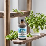 A stylish kitchen counter with a bottle of Dr. Cass Ingram's OregaHydrosol surrounded by fresh oregano, highlighting the product's natural origins.