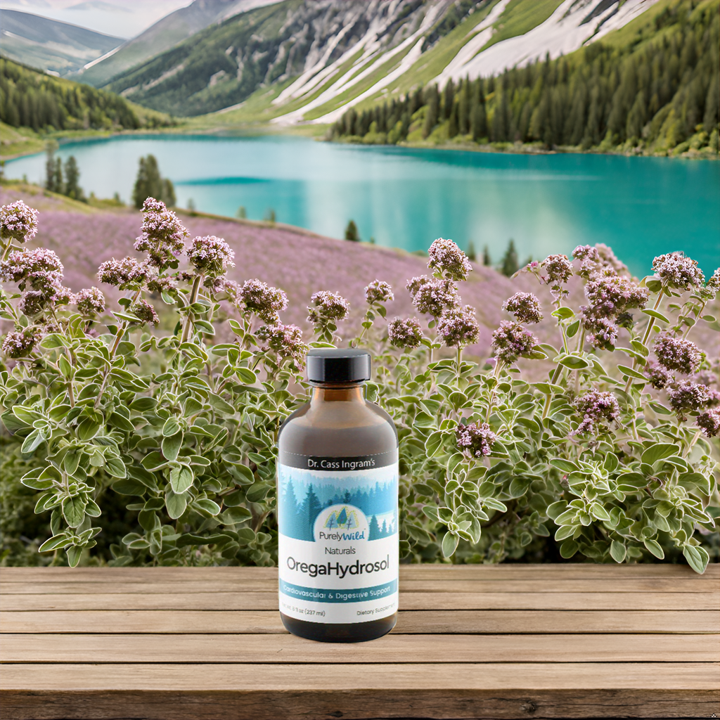 Fresh oregano herbs hanging to dry next to a bottle of Purely Wild OregaHydrosol oregano juice, symbolizing the traditional preparation techniques endorsed by Dr. Cass Ingram.