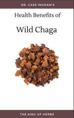 HEALTH BENEFITS OF WILD CHAGA: The King of Herbs