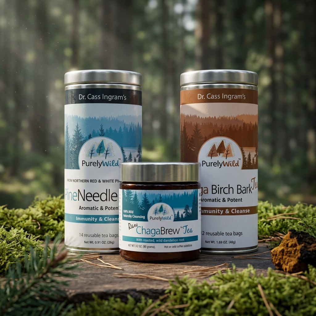 Wild Forest Tea Trio Bundle — Wild Chaga Brew Tea + Chaga Birch Bark Tea + Wild Pine Needle Tea Tin
