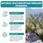 Dr. Cass Ingram's OregaHydrosol - Wild Mediterranean Oregano Juice for Immune Support, Respiratory & Digestive Health