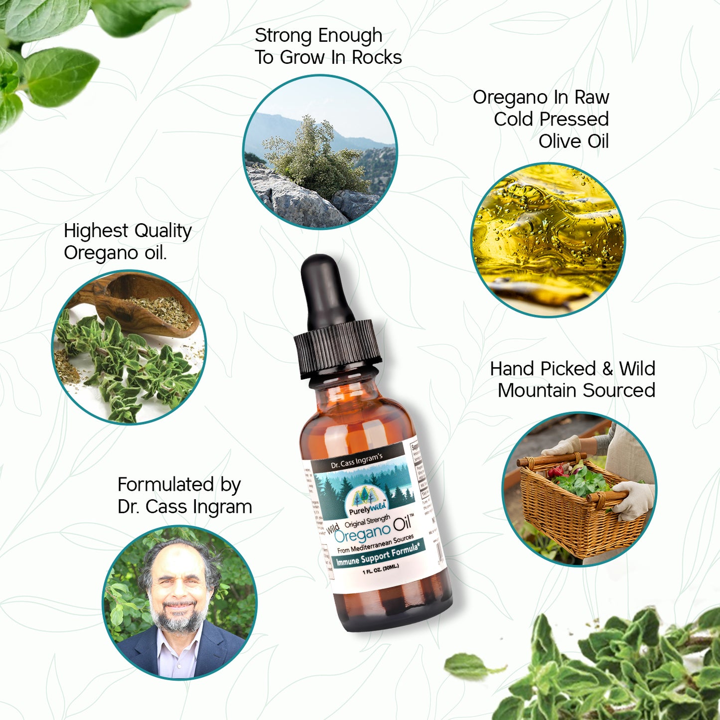 Extra Power Wild Mediterranean Oregano Oil – 1 fl oz — Purely Wild bottle