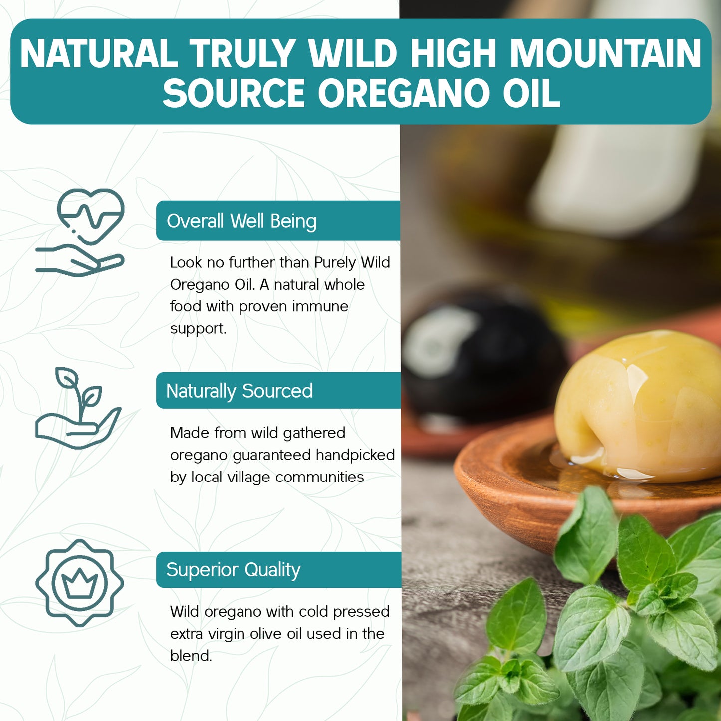 Extra Power Wild Mediterranean Oregano Oil – 1 fl oz — Purely Wild bottle