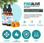 A graphic showcasing the features of Purely Wild PineAlive Extract, highlighting its respiratory support, immune enhancement, and sustainably sourced ingredients, formulated under Dr. Cass Ingram’s guidance.