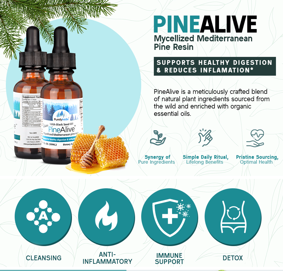 A graphic showcasing the features of Purely Wild PineAlive Extract, highlighting its respiratory support, immune enhancement, and sustainably sourced ingredients, formulated under Dr. Cass Ingram’s guidance.