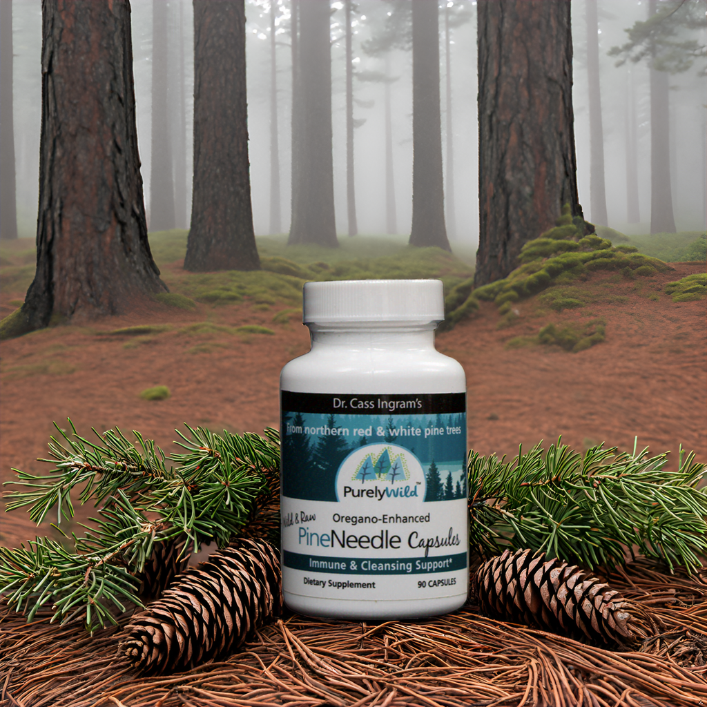 A bottle of Purely Wild Pine Needle Capsules displayed in a lush forest setting with pine branches, cones, and moss, symbolizing the natural and wild origins of the product, inspired by Dr. Cass Ingram.