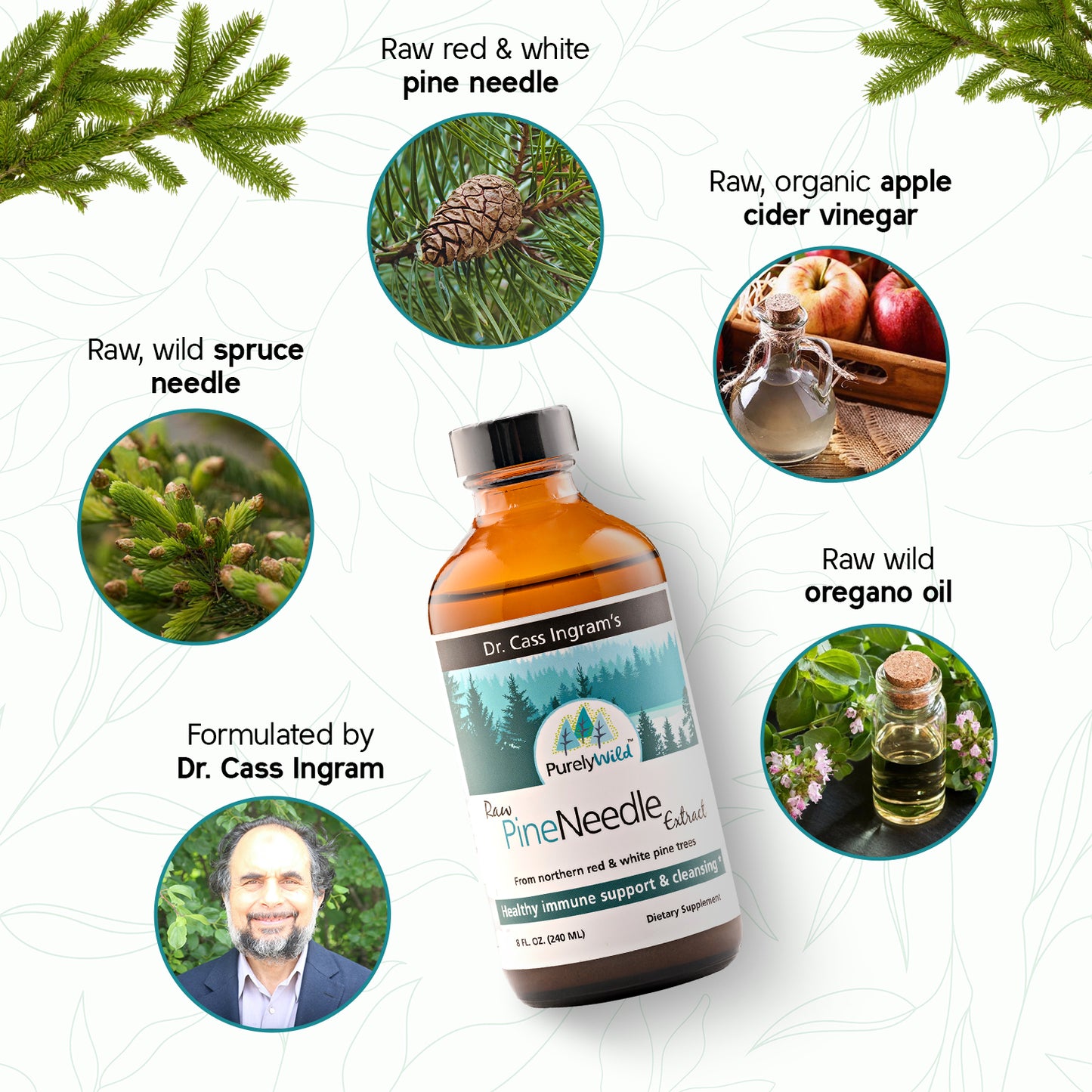 A detailed graphic showcasing Dr. Cass Ingram's Purely Wild Pine Needle Extract with its key ingredients: wild-harvested pine needles, raw wild spruce needles, raw organic apple cider vinegar, and raw wild oregano oil. The image highlights the product's formulation by Dr. Cass Ingram and emphasizes its natural, health-boosting properties.