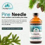 A bottle of Dr. Cass Ingram’s Purely Wild Pine Needle Extract surrounded by fresh pine branches, symbolizing its origin from pristine northern forests.