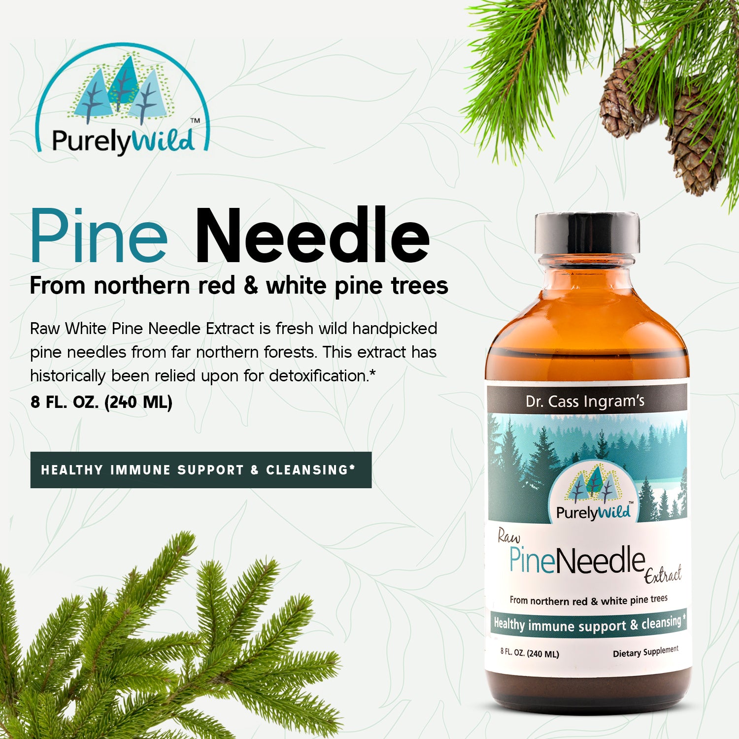 A bottle of Dr. Cass Ingram’s Purely Wild Pine Needle Extract surrounded by fresh pine branches, symbolizing its origin from pristine northern forests.