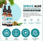 A promotional graphic highlighting the benefits of Purely Wild SpruceAlive, including respiratory support, immune boosting, and antioxidant properties, crafted based on Dr. Cass Ingram’s research.