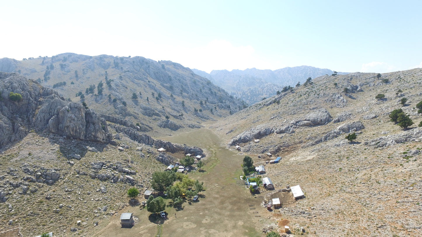 A panoramic view of wild oregano-covered mountains, illustrating the untouched natural origins of Purely Wild oregano products, including oregano oil and oregano juice, and their connection to Dr. Cass Ingram’s natural health philosophy.