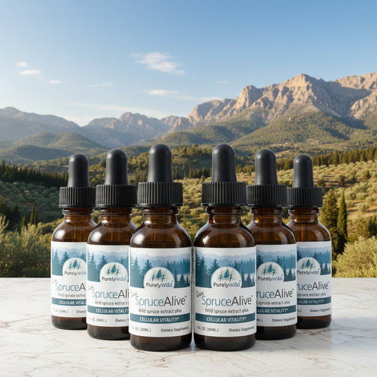 SpruceAlive 1oz - 6 Month Supply (6-Pack Bundle)