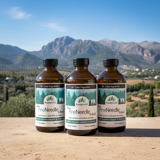 Pine Needle Extract - 3 Month Supply (3-Pack Bundle)