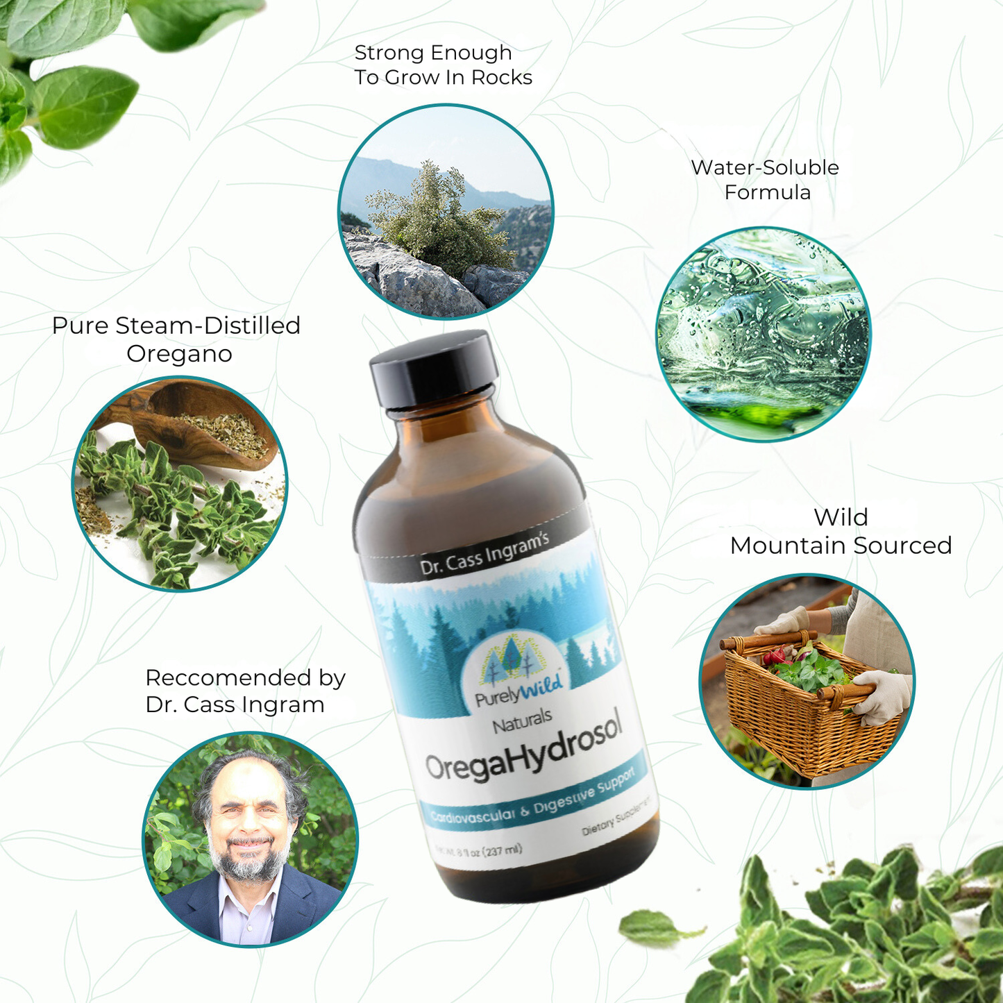 Dr. Cass Ingram's OregaHydrosol - Wild Mediterranean Oregano Juice for Immune Support, Respiratory & Digestive Health