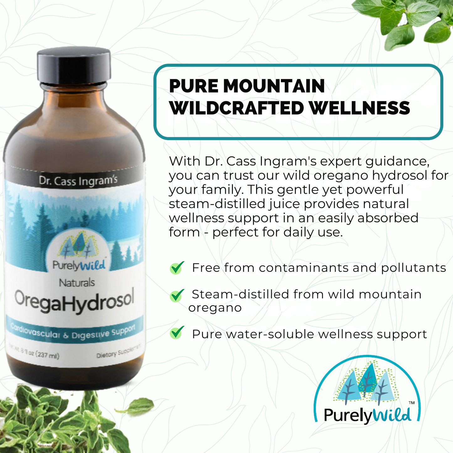 Dr. Cass Ingram's OregaHydrosol - Wild Mediterranean Oregano Juice for Immune Support, Respiratory & Digestive Health