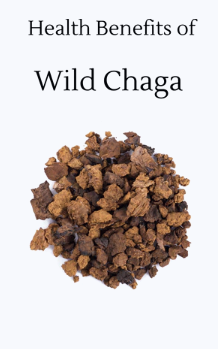 HEALTH BENEFITS OF WILD CHAGA: The King of Herbs