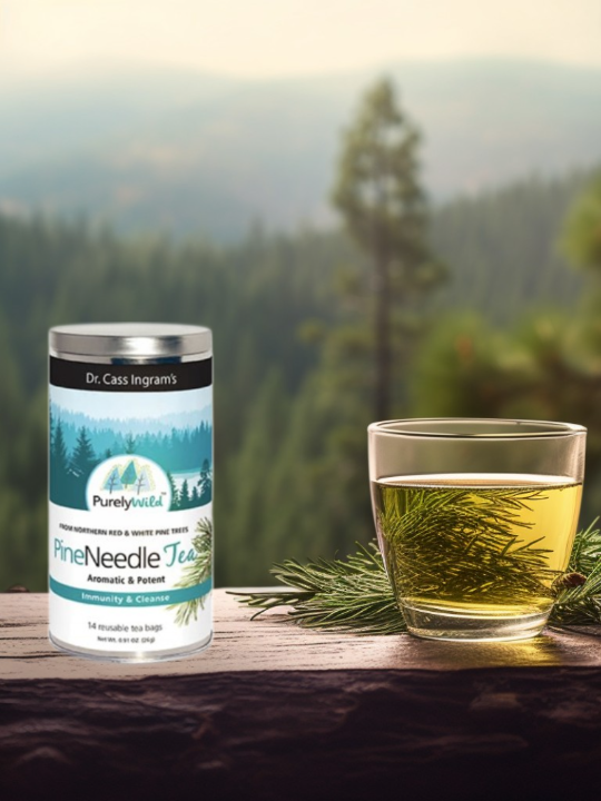 White Pine Needle Tea Recipe and White Pine Remedies  The Old Farmers  Almanac